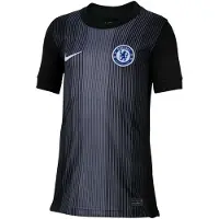 Nike Kinder- en jeugdshirt Chelsea FC 2025/26 (doelman) (Zwart/Grijs)