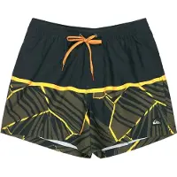 Quiksilver Everyday Poolsider 15´´ Zwembroek