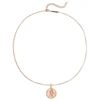 Hey Happiness Ketting 'Gemini' rose-goud