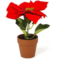 Everlands Kunstplant Kerstster | | 20 cm (In pot, Ø 18 cm)