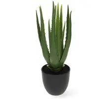 Décoris Kunstplant Aloe Vera | | 33 cm (In pot, Ø 15 cm)