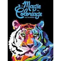 Hachette heroes LA MAGIE DU COLORIAGE AU NUMERO