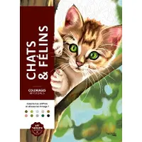 Hachette heroes Coloriages Mystères - Chats & Félins - Kleuren op Nummer Kleurboek voor volwassenen en kinderen
