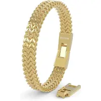 SERASAR | Premium roestvrijstalen armband heren [Franco] | Waterdicht | Veilige sluiting | Inclusief sieradendoosje | Kleur: Goud | Lengte: 17 cm