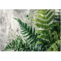 WALLARENA - Fotobehang - 300x210 cm - fotobehang met varenbladeren in groen beton voor de slaapkamer en woonkamer