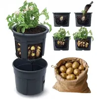 Prosperplast Potatoes 39.2x39.2x31.6 Cm Bloempot