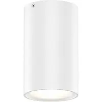 Wever & Ducre Tram Outdoor Plafondlamp White Matt