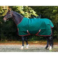 Horseware Original Turnout Lite 0g - Groen - 140-190