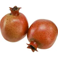 Viana Kunstmatige granaatappeldecoratieset in net, bedrieglijk realistisch,