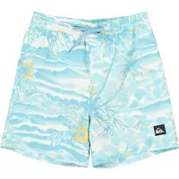 Quiksilver Everyday Printed Volley 14´´ Zwembroek