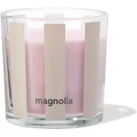HEMA Geurkaars In Glas⌀10x10cm Magnolia (lichtroze)