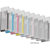 Epson C13T606740 Inktcartridge Licht-zwart