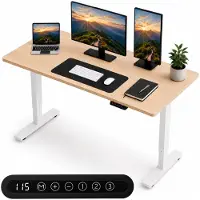 Organess Zit-sta Bureau - Elektrisch verstelbaar - 120 x 60 cm - Geheugenfunctie - Anti-botsing - Verstelbare Hoogte