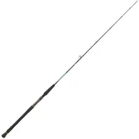 Daiwa Harrier Slow Jigging Rod 2 Sections Zilver 1.95 m / 40-160 g