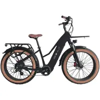 Bohlt Q26 - Elektrische Fatbike - 26 inch - 250W Motor - 750Wh Uitneembare Accu - Hydraulische Schijfremmen - Actieradius tot 80 km - Zwart