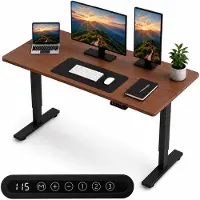 Organess Zit-sta Bureau - Elektrisch verstelbaar - 120 x 60 cm - Geheugenfunctie - Anti-botsing - Verstelbare Hoogte