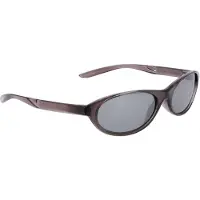 Nike Unisex retro ovale zonnebril voor dagelijks gebruik voor volwassenen (Zilver)