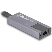DeLOCK USB 2.0 Adapter [1x USB-C stekker - 1x LAN (10/100/1000 MBit/s), USB-C] 66248 0.09 m