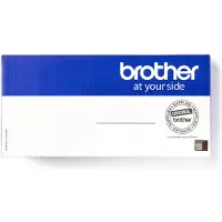Brother D00C55001 fuser unit (origineel)