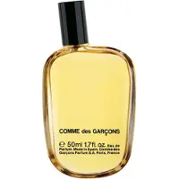 Comme des Garcons 50 ml Eau de Parfum Spray