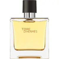 Hermès Paris - Hermes Terre D'Hermes Parfum Spray Parfum en parfum extract Eau de Toilette 75 ml Heren