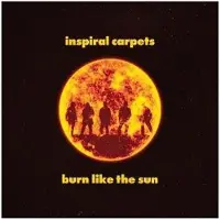 Import BURN LIKE THE SUN