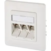 BTR NETCOM 130B12D31002-E Netwerkdoos Inbouw (in muur) Inzet met centraalstuk en frame CAT 6A 3 poorten Zuiver wit