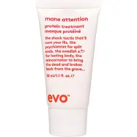 Evo Mane Attention Protein Treatment
