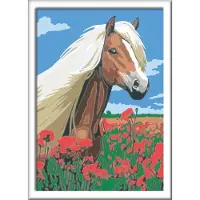Ravensburger Schilderen Op Nummer 3-In-1 Set 3 Dieren