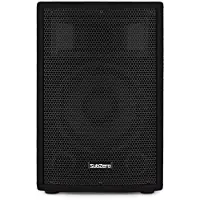 SubZero C10 10" 350W Passive PA Speaker