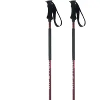 Elan Ripstick Rod W Stokken
