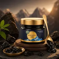 Vanan Shilajit Hars (20g) | Traditioneel Gezuiverde Himalaya Shilajit | Fulvinezuur & Sporenelementen | Ayurvedische Ondersteuning voor Energie & Vitaliteit