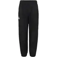 Adidas Outdoor broek zwart