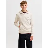 Jack & jones Junior Sweatshirt 'JJEARCHIVE' ecru