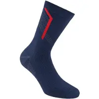 La Sportiva Flow Trail Lange Sokken Blauw EU 41-43
