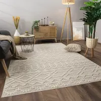 Paco Home Vloerkleed Woonkamer Laagpolig Boho Patroon Scandinavisch 160x220 cm
