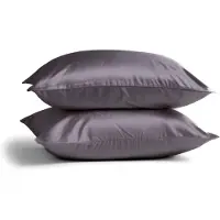Silk Heaven 2x Zijden Kussensloop 80x80cm Antraciet Ritssluiting 19 Momme - Kussensloop set - Luxe Silk Kussensloop 100% moerbei zijde - Zijde kussensloop - - 80x80cm / Ritssluiting