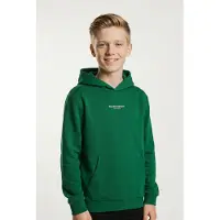 Name it Sweatshirt 'NKMBrody' smaragd / wit