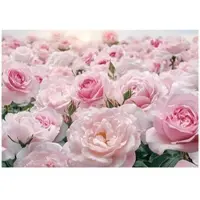 WALLARENA - Fotobehang - 300x210 cm - fotobehang met pastelroze bloemen voor slaapkamer en salon, vliesbehang