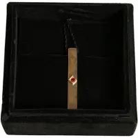 Dolce&Gabbana Gouden Stropdasclip met Robijnaccent