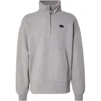 Adidas Originals Sweatshirt '90s ALTERNATIVE SPORT' grijs gemêleerd