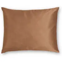 Silk Heaven Zijden Kussensloop Amber Silk - 22MM - - 50x60cm / Ritssluiting