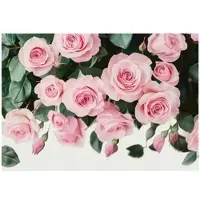 WALLARENA - Fotobehang - 300x210 cm - Roze hangende bloemen voor slaapkamer en salon