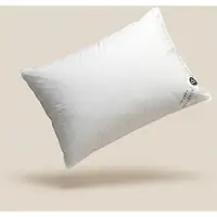Presence Hoofdkussen Dons - 85% Eendenveren 60 x 70 cm