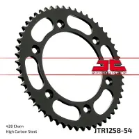 JT Sprockets 428 Jtr1258.54 Steel Achtertandwiel