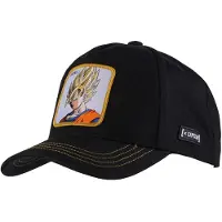 Capslab Pet zwart