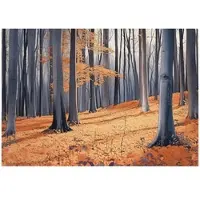 WALLARENA - Fotobehang - 350x250 cm - Fototapete met een bos, bomen en natuur voor slaapkamer en salon, vliesbehang