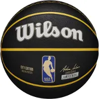 Wilson NBA Team City Collector Indiana Pacers Basketbal Maat 7