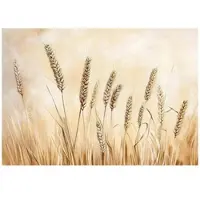 WALLARENA - Fotobehang - 250x175 cm - Boho beige natuur slaapkamer salon vliesbehang