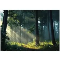 WALLARENA - Fotobehang - 300x210 cm - 3D natuur met zon en bomen voor slaapkamer en salon
